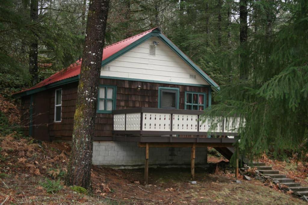 Mountainside Chalet - Tiny Home Пакууд Екстериор снимка